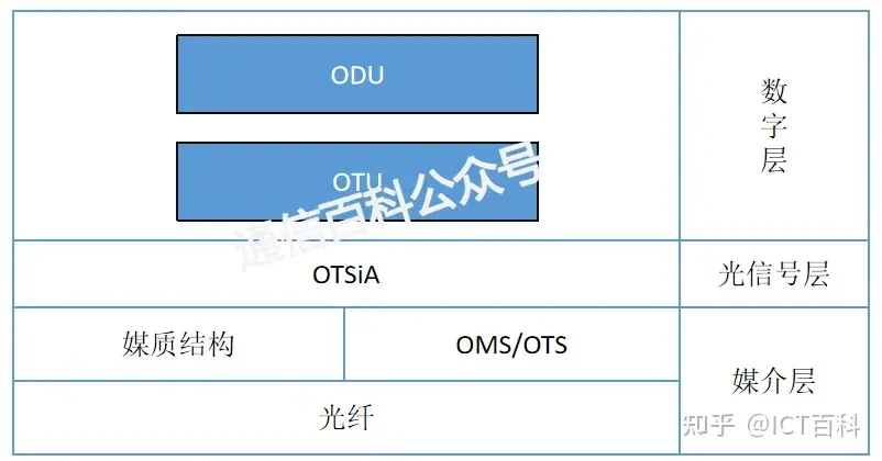 OTN分层结构变成什么样了?