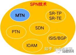 SPN , MTN , FlexE 是什么关系？
