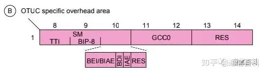 G.709协议:超100G OTUCn信号及其帧结构