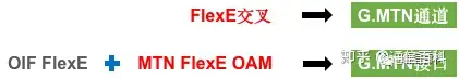 SPN , MTN , FlexE 是什么关系？