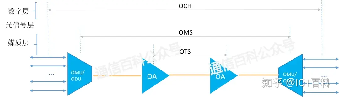 OTN分层结构变成什么样了?