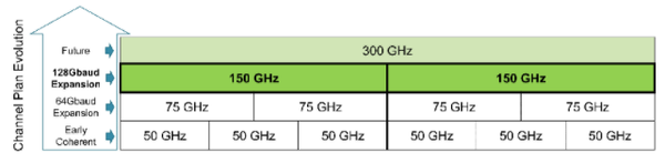 600G还是800G?