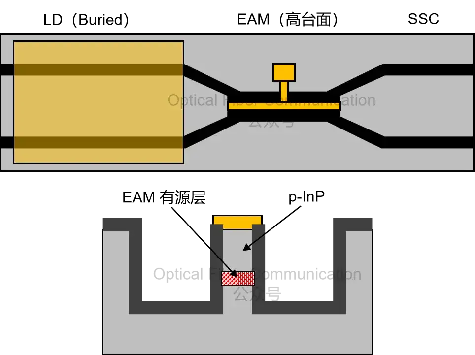条形波导与脊形波导
