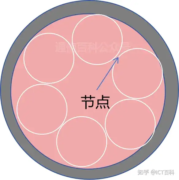 空芯光纤 6 :嵌套与无嵌套 ANF 空芯光纤